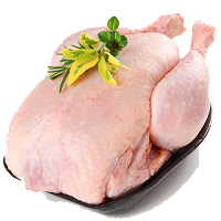 گوشت مرغ بسته بندی شده منجمد