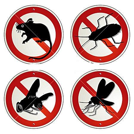سمپاشی تضمینی علیه حشرات  - شرکت سم شیراز